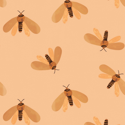 Moth Sun - Aniek Bartels