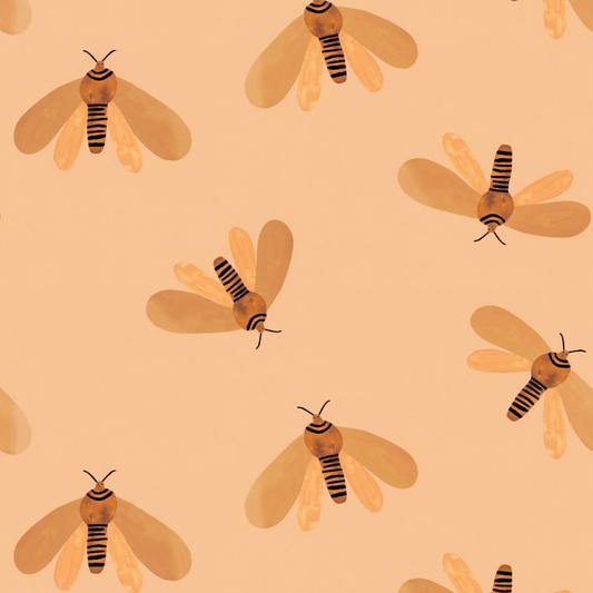 Moth Sun - Aniek Bartels